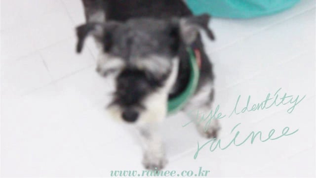 Rainee · 영상 기록 5691660 · 공식 영상 대표 이미지