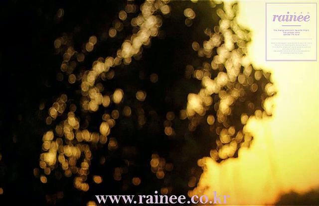 Rainee · 영상 기록 6480722 · 공식 영상 대표 이미지